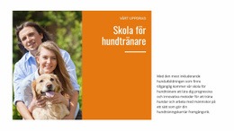 Vår Hundträningsskola Responsiv Webbplats