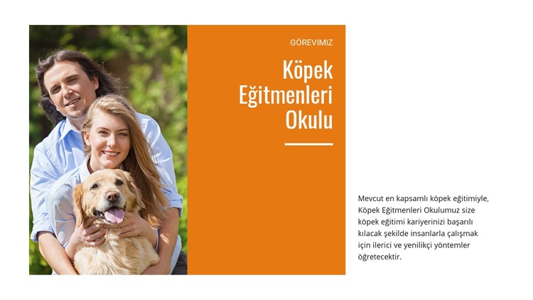 Köpek eğitim okulumuz CSS Şablonu