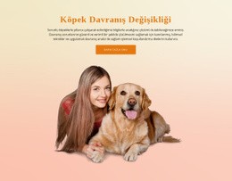 Köpek Itaat Eğitimi - Güzel Web Sitesi Tasarımı