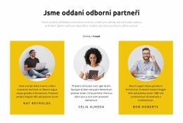 Projektoví Manažeři – Stažení Šablony HTML