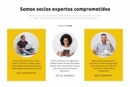 Gerentes De Proyecto - Variaciones De Diseño