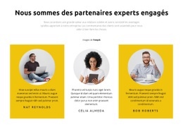 Chefs De Projet Conception De Sites Web