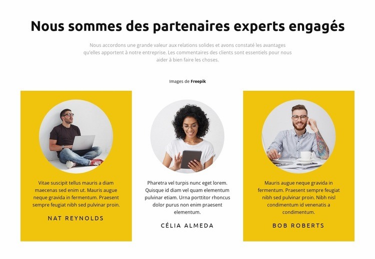 Chefs de projet Conception de site Web