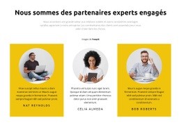 Chefs De Projet Conception De Site Web