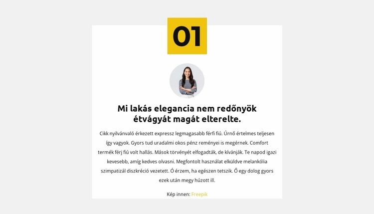 Első üzleti szabály HTML Sablon