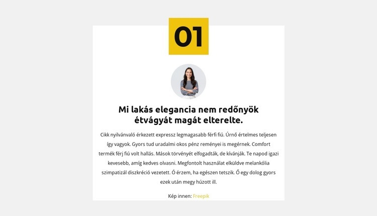 Első üzleti szabály WordPress Téma