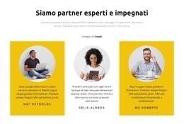 Capi Progetto Web Designer
