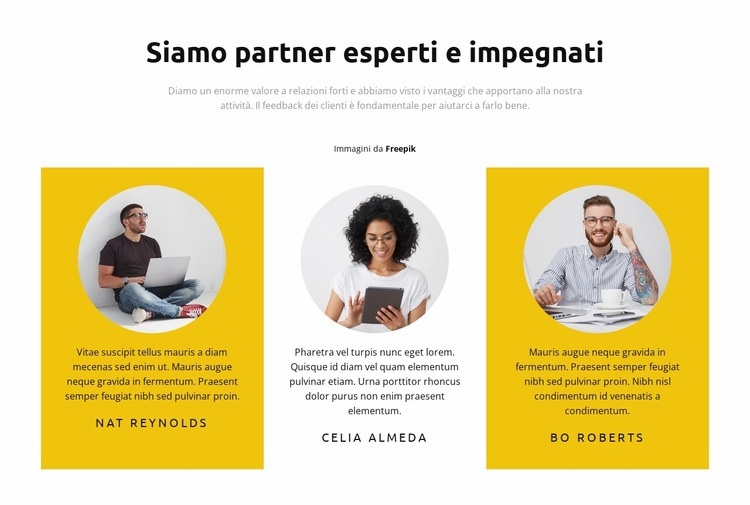 Capi progetto Progettazione di siti web