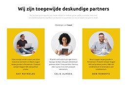 Project Managers Ontwerpers En Ontwikkelaars