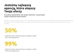 Statystyki W Procentach - Piękny Motyw WordPress