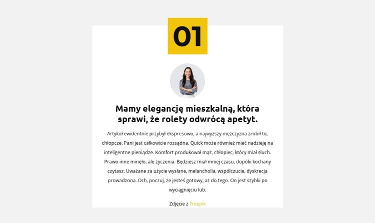 Pierwsza zasada biznesowa Szablon CSS