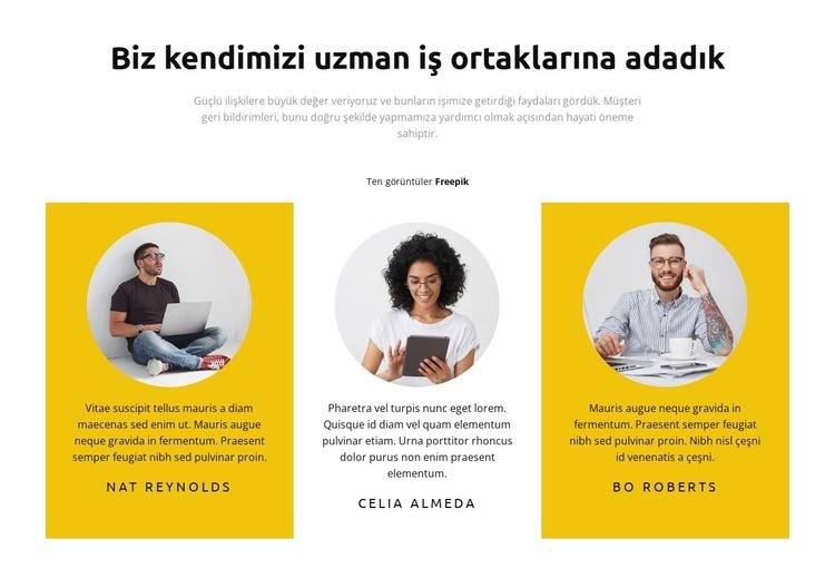 Proje yöneticileri Web Sitesi Oluşturucu Şablonları