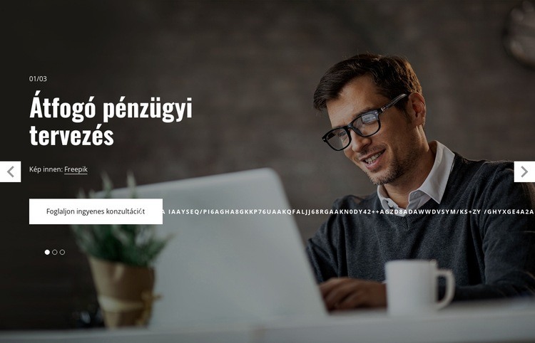 Átfogó pénzügyi tervezés Weboldal sablon