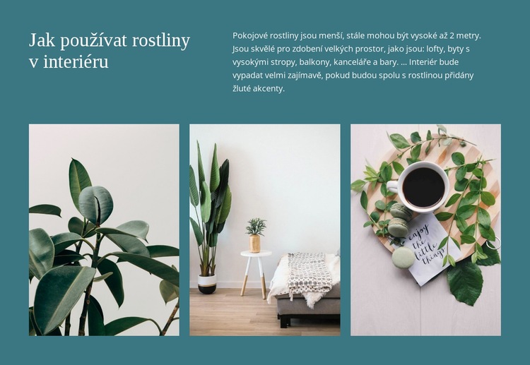 Rostliny mohou zvýšit produktivitu Webový design