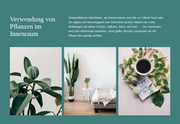 Pflanzen Können Die Produktivität Steigern - HTML-Landingpage