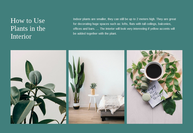 Plants can increase productivity Homepage Design