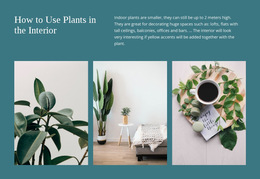 Plants Can Increase Productivity - Customizable Professional HTML5 Template