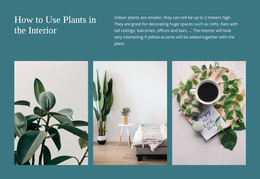 Plants Can Increase Productivity - Multipurpose Products