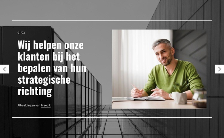 Strategische leidingdiensten Website ontwerp