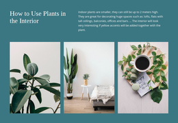 Plants Can Increase Productivity Google Speed