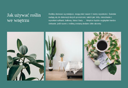 Rośliny Mogą Zwiększyć Produktywność – Strona Docelowa HTML