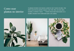 As Plantas Podem Aumentar A Produtividade - Design Simples