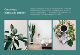 As Plantas Podem Aumentar A Produtividade - Tema WordPress De Arrastar E Soltar