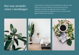 Växter Kan Öka Produktiviteten - Gratis Webbplatsmall