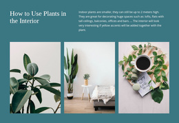 Planten Kunnen De Productiviteit Verhogen - Gratis Websitesjabloon