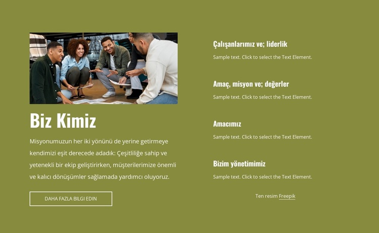 Hakkımızda bilgi edinin WordPress Teması