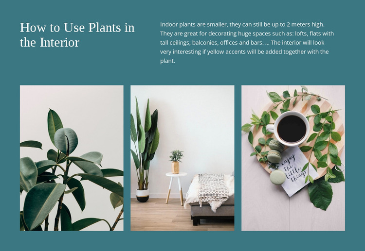 Plants can increase productivity Website Mockup