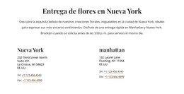 Contactos De Entrega De Flores: Plantilla De Página HTML