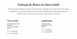Contactos De Entrega De Flores Constructor Joomla