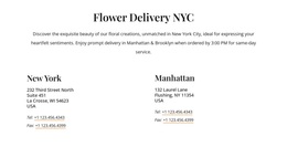 Flower Delivery Contacts Google Fonts