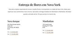 Contatos Para Entrega De Flores