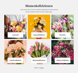 Benutzerdefinierte Schriftarten, Farben Und Grafiken Für Blumenkollektionen