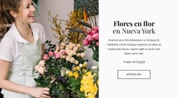 Entrega De Plantas Y Flores. Sitio Web Adaptable Al Salón
