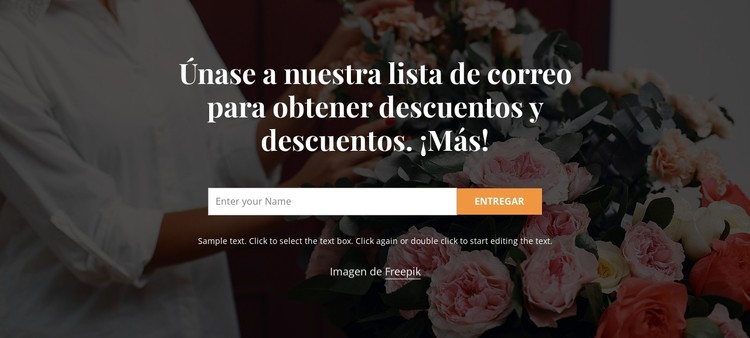 Únete a nuestra lista de correos Plantilla CSS