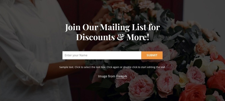 Join our mailing list WordPress Website Builder