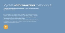 Rychlé Informované Rozhodování – Nejlepší Téma WordPress