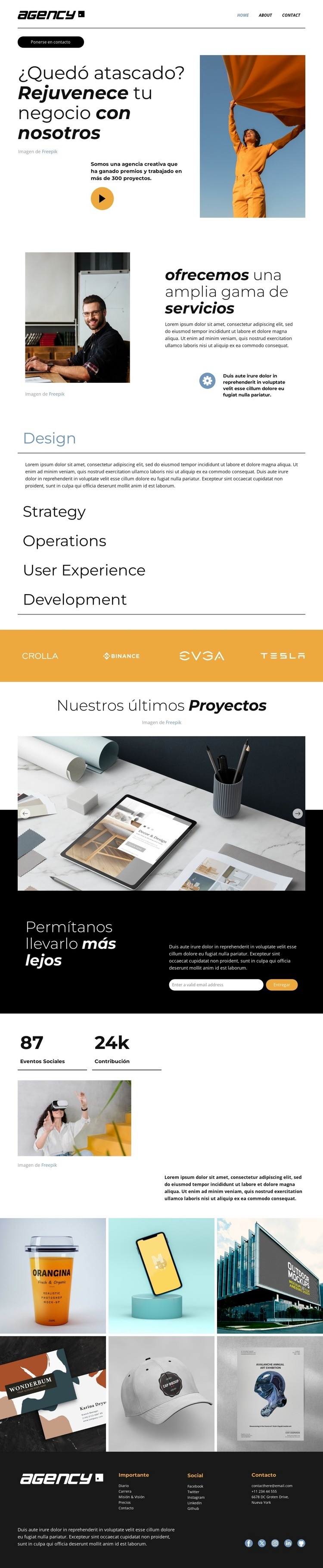 Escale hacia un mayor éxito Diseño de páginas web