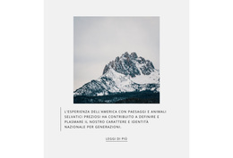 Tour Del Ghiacciaio Dell'Alaska - Tema WordPress Multiuso