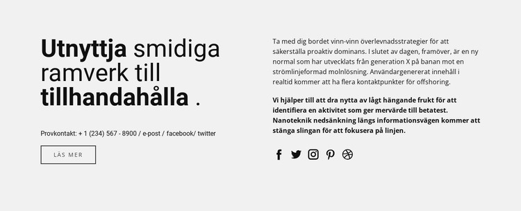 Rubrik, text i två kolumner Hemsidedesign