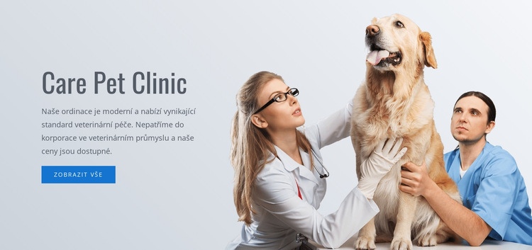 Klinika péče o domácí zvířata Šablona webové stránky