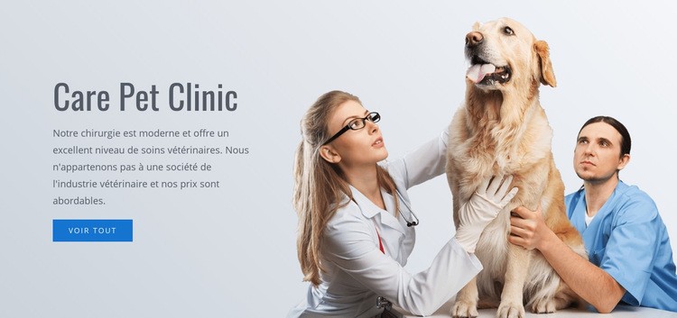 Clinique de soins pour animaux Modèle d'une page