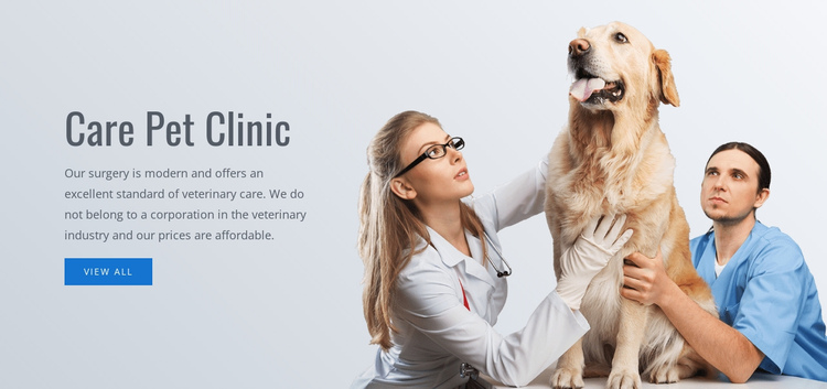 Pet care clinic  One Page Template