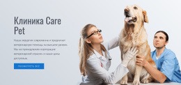 Клиника По Уходу За Домашними Животными – Простой Дизайн Сайта