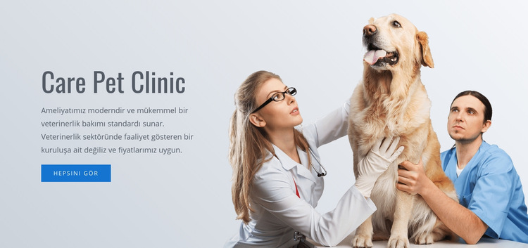 Evcil hayvan bakım kliniği Web Sitesi Şablonu