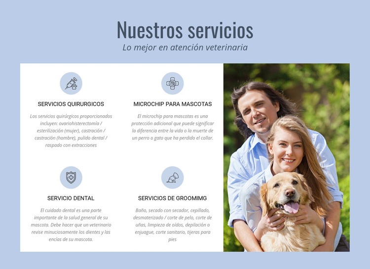 Asesoramiento veterinario las 24 horas Diseño de páginas web