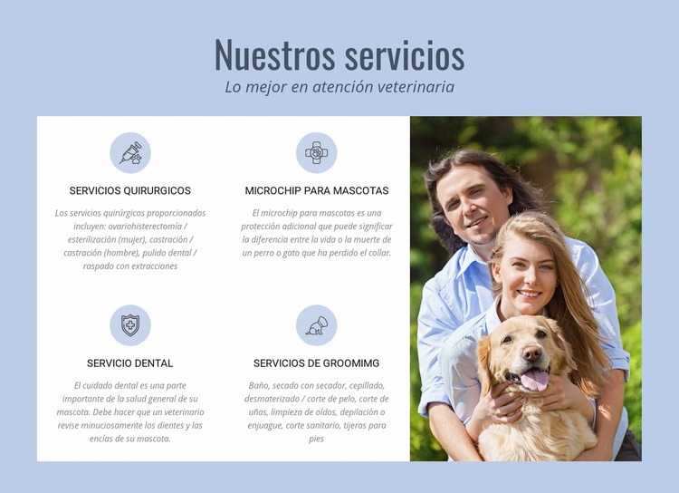 Asesoramiento veterinario las 24 horas Maqueta de sitio web